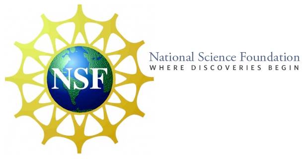 The National Science Foundation Awards Millions to Florida Consortium Member Institutions